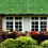 Simulated Green Wall Rectangular Greenery 1pack 23.6x15.7in 9