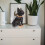 1St Resin Hond Ornament Creatief Geschenk Voor Thuis 6