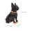 1St Resin Hond Ornament Creatief Geschenk Voor Thuis 7