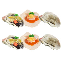 6 Stuks Simulatie Oester Jakobsschelp Vis - En Schelpdier Model