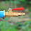 Winterize Adapter Messing Einfache Blow-Outs 1/4 Äußeres Gewinde 2