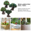 20 Modell Mikro-Landschaft Harz 9