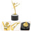 Dance Kinderen Ballet Exquise 10