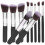 10St Makeup Set Premium Synthetische Mischpinsel 6