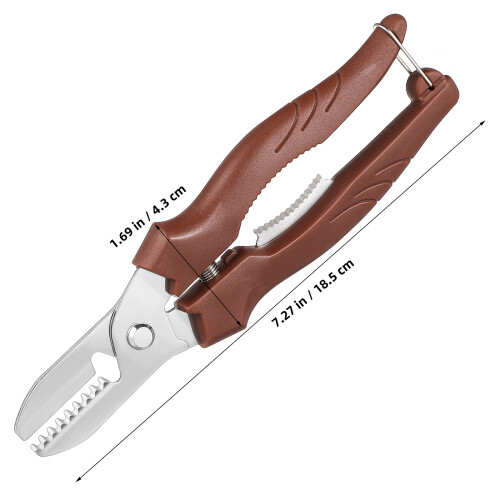 Chestnut Cutter Walnussknacker Pekannussknacker Aus 1