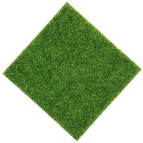 5 Pezzi Tappeto Realistico Per Micro Paesaggio Quadrato 1