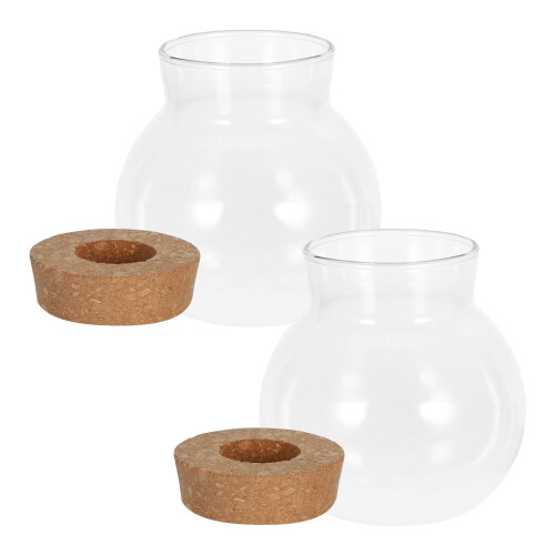 2 Hydroponische Plantenvazen Met 480 Ml