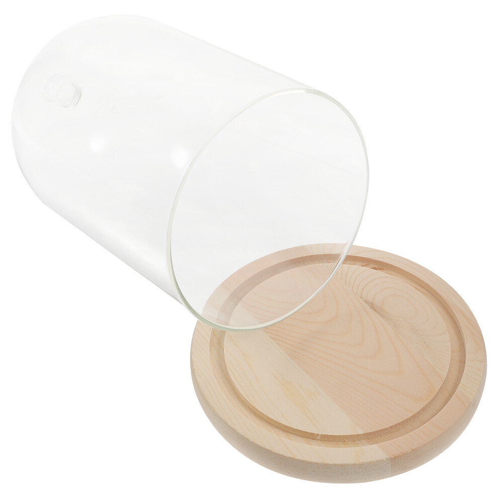 Suszona Dekoracja Z Kopułą, Ptakiem I Podstawą Drewnianą-image