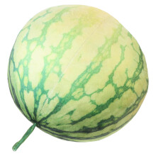 Watermelon Pluszowa Poduszka Owoc Dla Dzieci Do Ściskania