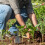 Trowel De Escavação E Para Jardinagem 4