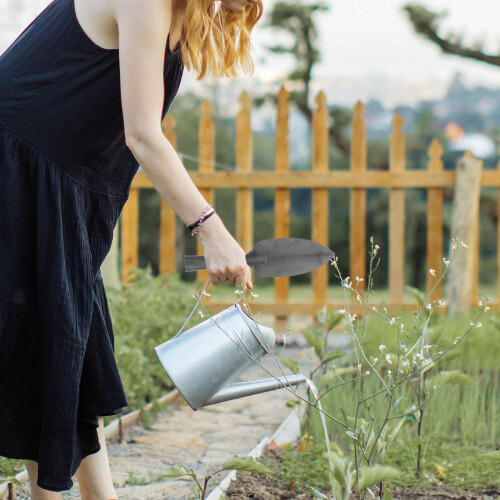 Trowel De Escavação E Para Jardinagem 2