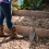Trowel De Escavação E Para Jardinagem 5