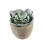 2Pcs Faux Succulent Artificial Plants With Gray Pots (030) 1