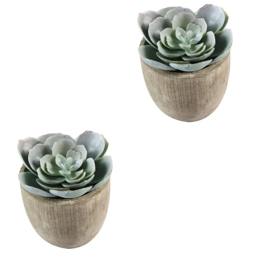 2Pcs Faux Succulent Artificial Plants With Gray Pots (030) 2