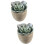 2Pcs Faux Succulent Artificial Plants With Gray Pots (030) 7