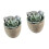 2Pcs Faux Succulent Artificial Plants With Gray Pots (030) 4
