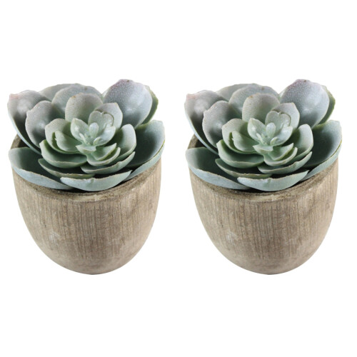 2Pcs Faux Succulent Artificial Plants With Gray Pots (030) 1