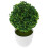 3 Unidades Bola De Planta Artificial Bonsai Verde Para Casa E 1