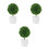 3 Unidades Bola De Planta Artificial Bonsai Verde Para Casa E 6