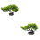 2Pièces Décoration Pin Vivid Pour Plat Sushi Sashimi Élégant 10