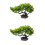 2Pièces Décoration Pin Vivid Pour Plat Sushi Sashimi Élégant 9