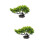 2Pièces Décoration Pin Vivid Pour Plat Sushi Sashimi Élégant 11