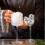 4 Unidades De Para Cocktail E Vinho 5