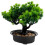 Árvore Bonsai Artificial Vaso Planta De Enfeite 1