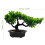 Árvore Bonsai Artificial Vaso Planta De Enfeite 2