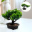 Árvore Bonsai Artificial Vaso Planta De Enfeite 6
