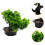 Árvore Bonsai Artificial Vaso Planta De Enfeite 4