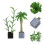 6 Unidades Mini Bonsai De Vaso Para Decoração 11