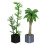 6 Unidades Mini Bonsai De Vaso Para Decoração 2