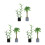 6 Unidades Mini Bonsai De Vaso Para Decoração 5