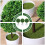 3Pcs Bola De Planta Artificial Bonsai Verde Imitação 9
