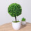 3Pcs Bola De Planta Artificial Bonsai Verde Imitação 3
