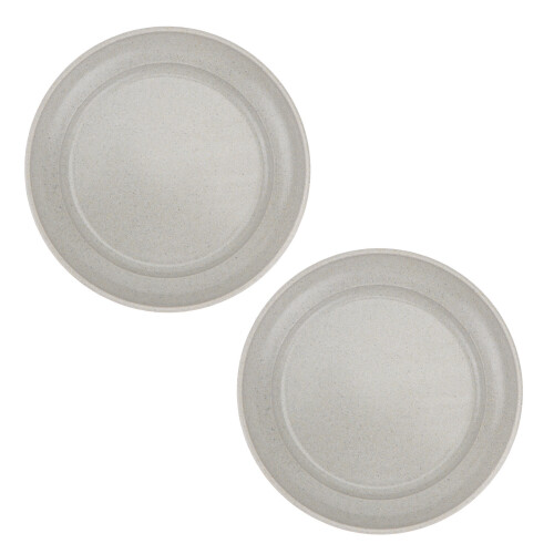 2 Pcs Bandeja De Plantas Suculentas Com Florão Exuberante