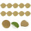 10 De Stickers Minceur Portables Pour Nombril 4