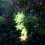 Solar Wind Chime Snowflake Assorted Color 1pack 85x12.9cm 4
