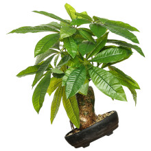 Künstliche Bonsai Topfblume Für Schreibtisch Büro
