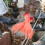 6 Gebrochene Handprothese Kunsthand Halloween-Prop 4