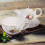 1 Set Keramik Mit Servierbecher Für Und Restaurant 5