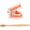 5 Set Modello Bambini Per Apprendimento Spazzolino 1