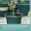 30 Unidades De Adubo Para Plantas E Bonsai 9