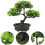 3 Unidades Árvore Bonsai Artificial Vaso Para Casa 11