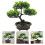 3 Unidades Árvore Bonsai Artificial Vaso Para Casa 10