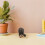 4 Unidades Decoração De Quiui Para Casa E 5