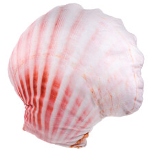 Cuscino A E