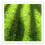 Artificiale 49X47Cm Verde Per Giardino Mini Casa Vaso 2