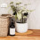 2St Lichtebruine Plantbewateringsmat, Stevig En Duurzaam 7
